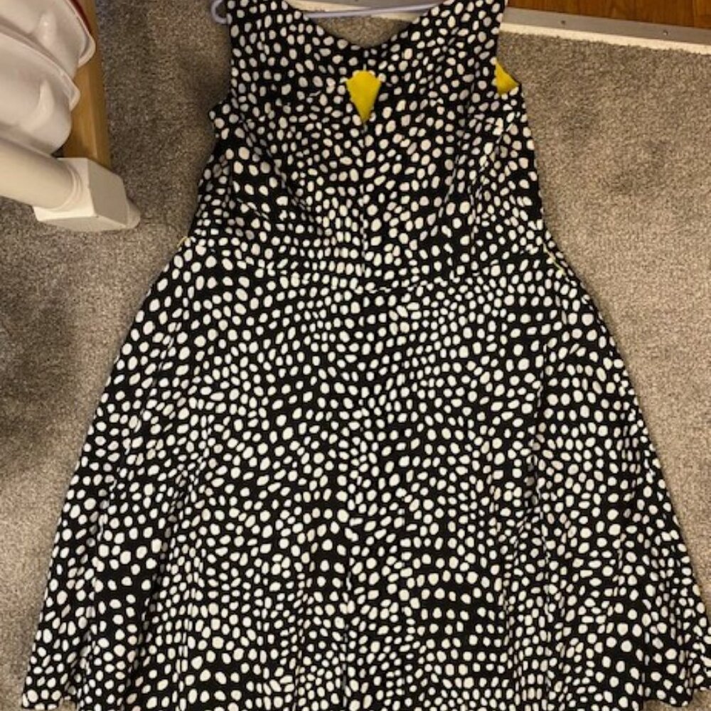 Simple & Stylish Shift Polka Dot Dresses Fit and Flare Styling. - Picture 4 of 13